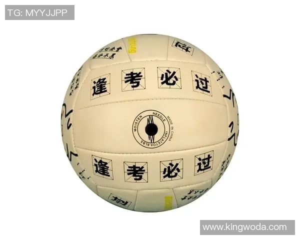 杨丽独家分享排球心得与技巧助你提升球技的完美指南