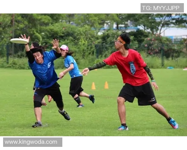 深圳飞盘队荣登全国比赛经验排行榜第七名展现实力与潜力 深圳飞盘队荣登全国比赛经验排行榜第七名展现实力与潜力