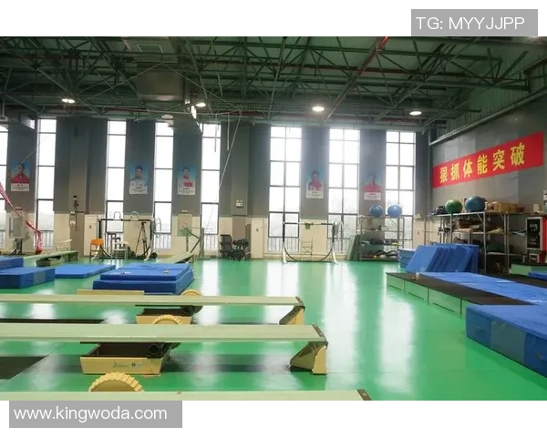 重庆篮球队反击革新之路探索与展望全面解析 重庆篮球队反击革新之路探索与展望全面解析