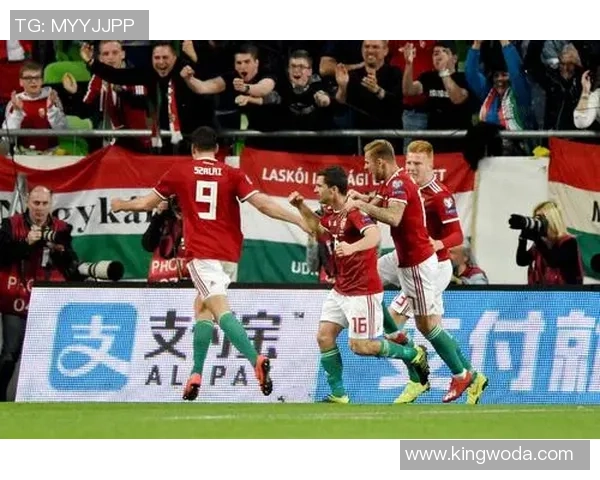 2019年欧洲预选赛匈牙利对阵克罗地亚的精彩对决回顾与分析