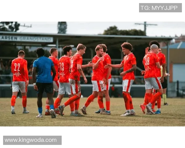 布里斯班与墨尔本胜之战精彩回顾与分析 布里斯班与墨尔本胜之战精彩回顾与分析